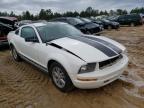 FORD - MUSTANG