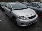 TOYOTA - COROLLA