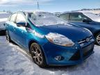 FORD - FOCUS