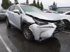 LEXUS - NX