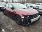 NISSAN - MAXIMA