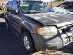 FORD - ESCAPE