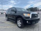 TOYOTA - SEQUOIA