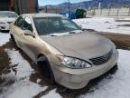 TOYOTA - CAMRY