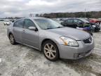 NISSAN - MAXIMA