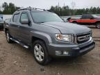 HONDA - RIDGELINE