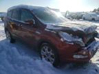 FORD - ESCAPE