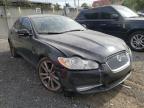 JAGUAR - XF