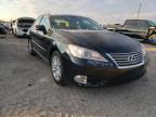 LEXUS - ES350