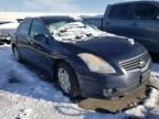 NISSAN - ALTIMA