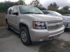 CHEVROLET - TAHOE