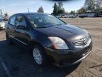 NISSAN - SENTRA