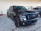 FORD - F-150