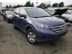 HONDA - CRV