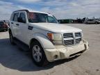 DODGE - NITRO