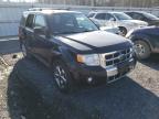 FORD - ESCAPE