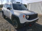 JEEP - RENEGADE