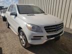 MERCEDES-BENZ - M-CLASS