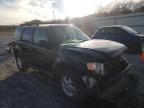 FORD - ESCAPE