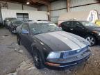 FORD - MUSTANG