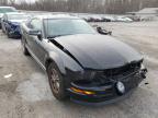 FORD - MUSTANG