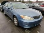 TOYOTA - CAMRY