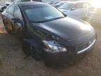 NISSAN - MAXIMA