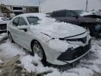 TOYOTA - CAMRY