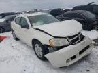 DODGE - AVENGER