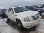 CADILLAC - ESCALADE