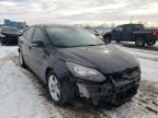 FORD - FOCUS