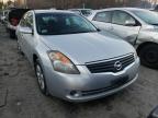 NISSAN - ALTIMA