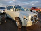 FORD - ESCAPE