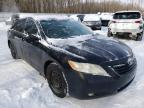 TOYOTA - CAMRY