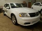 DODGE - AVENGER