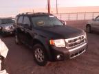 FORD - ESCAPE