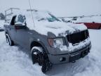 FORD - F-150
