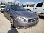 NISSAN - MAXIMA