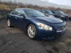 NISSAN - MAXIMA