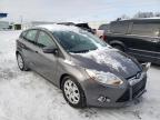 FORD - FOCUS