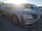 DODGE - AVENGER