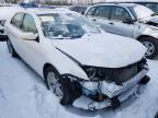FORD - FUSION