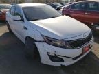 KIA - OPTIMA