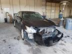NISSAN - MAXIMA