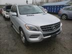 MERCEDES-BENZ - M-CLASS