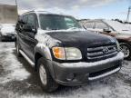 TOYOTA - SEQUOIA