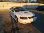 FORD - MUSTANG