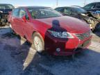 LEXUS - ES350