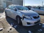 TOYOTA - COROLLA