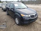 KIA - SORENTO